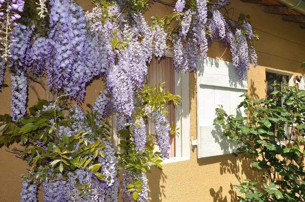 B&B La Cerisaie Francheleins
